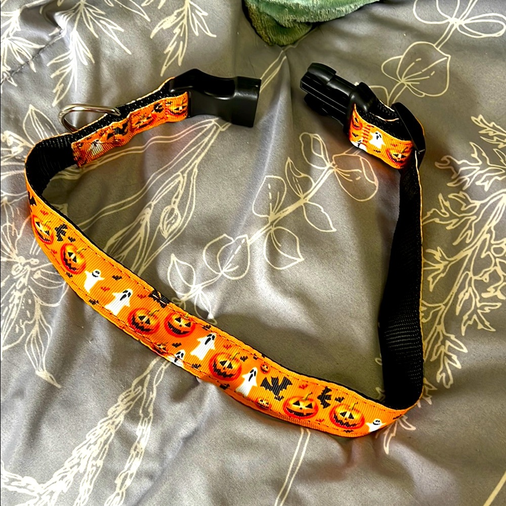 9" Halloween Dog Collar